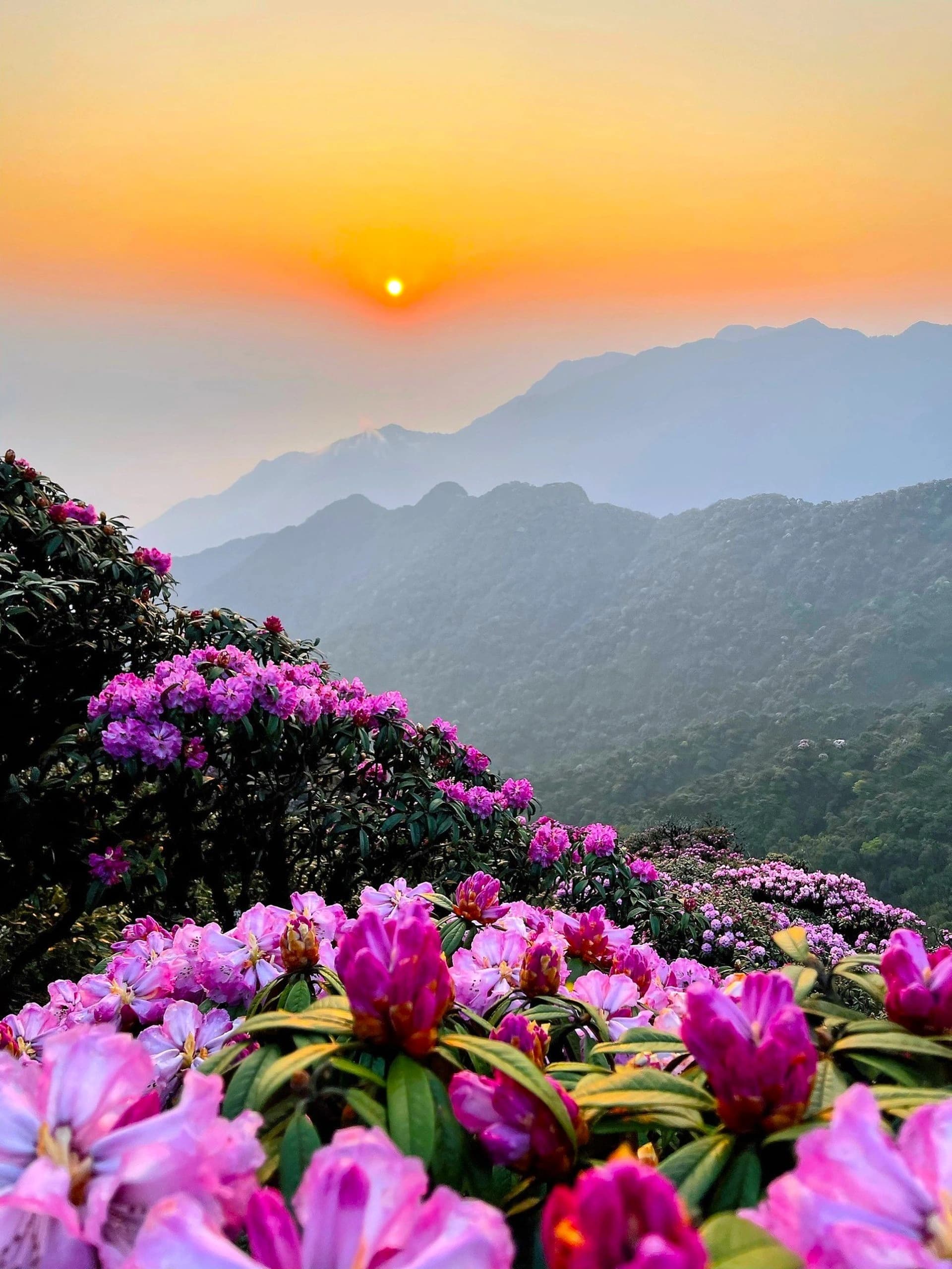 Pu Ta Leng (Lai Chau, 3049m)