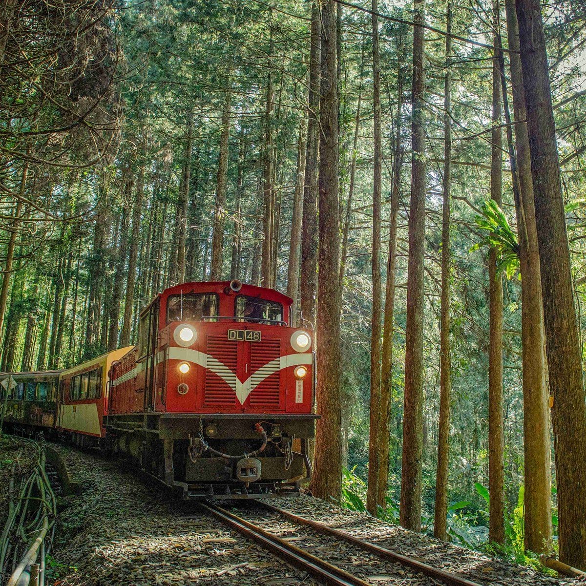 Alishan