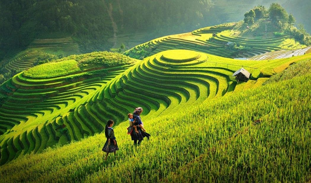 Vietnam Highlights