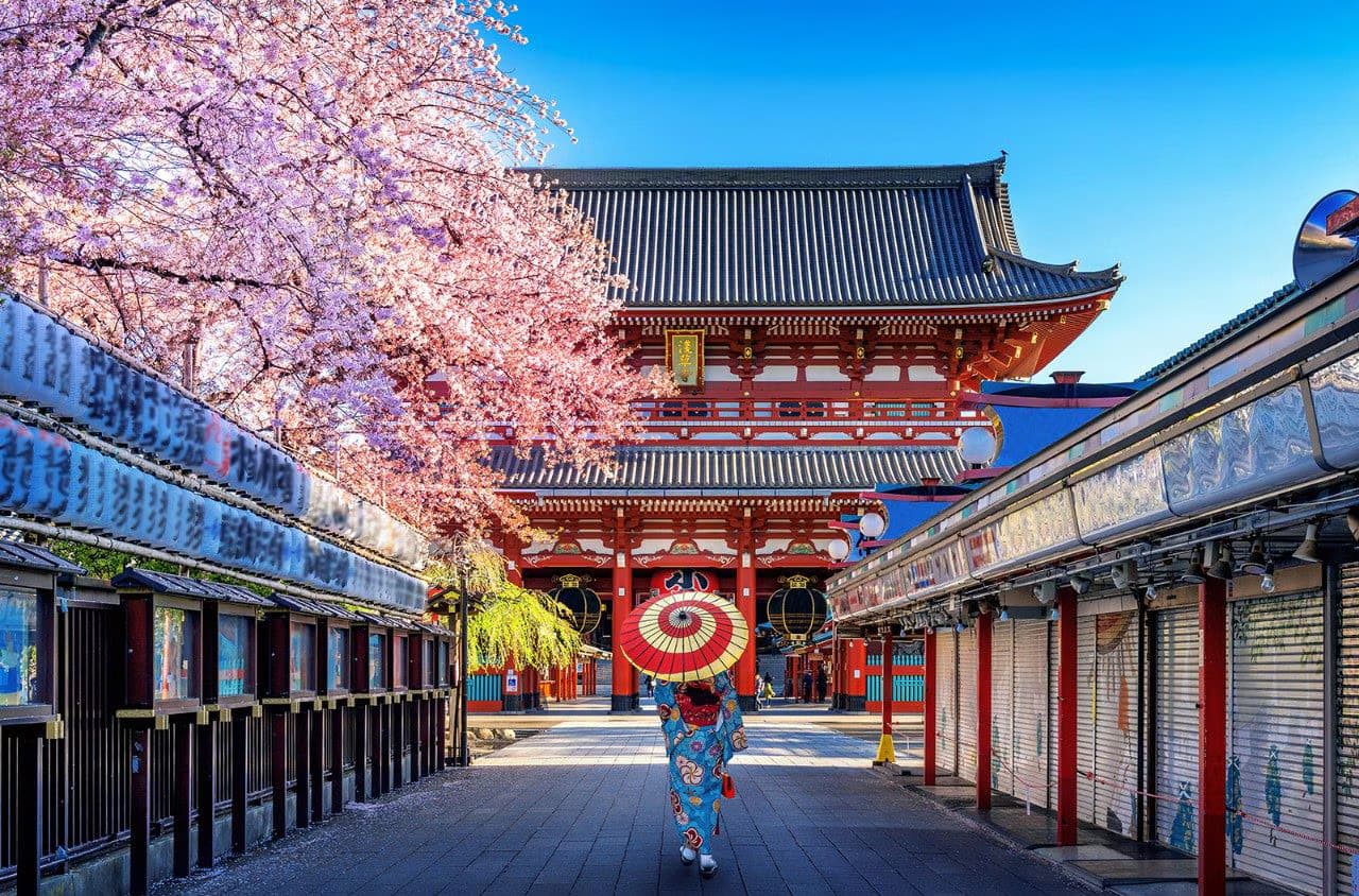 5 Days Timeless Japan: A Journey from Tradition to Innovation