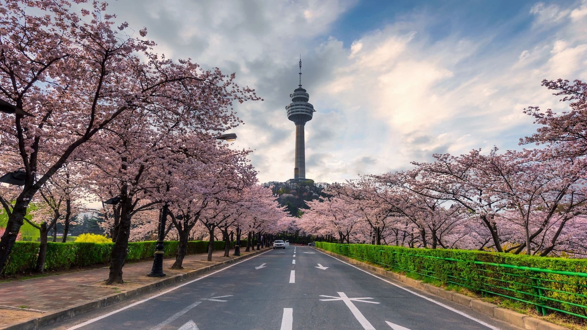 Daegu