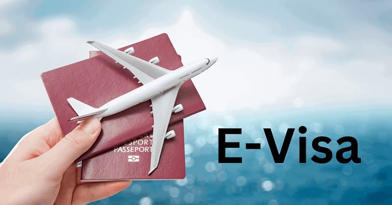 EVisa Service
