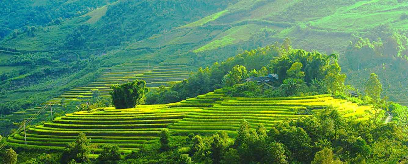 1 Day Villages of Mai Chau: Full-Day Cultural Trek