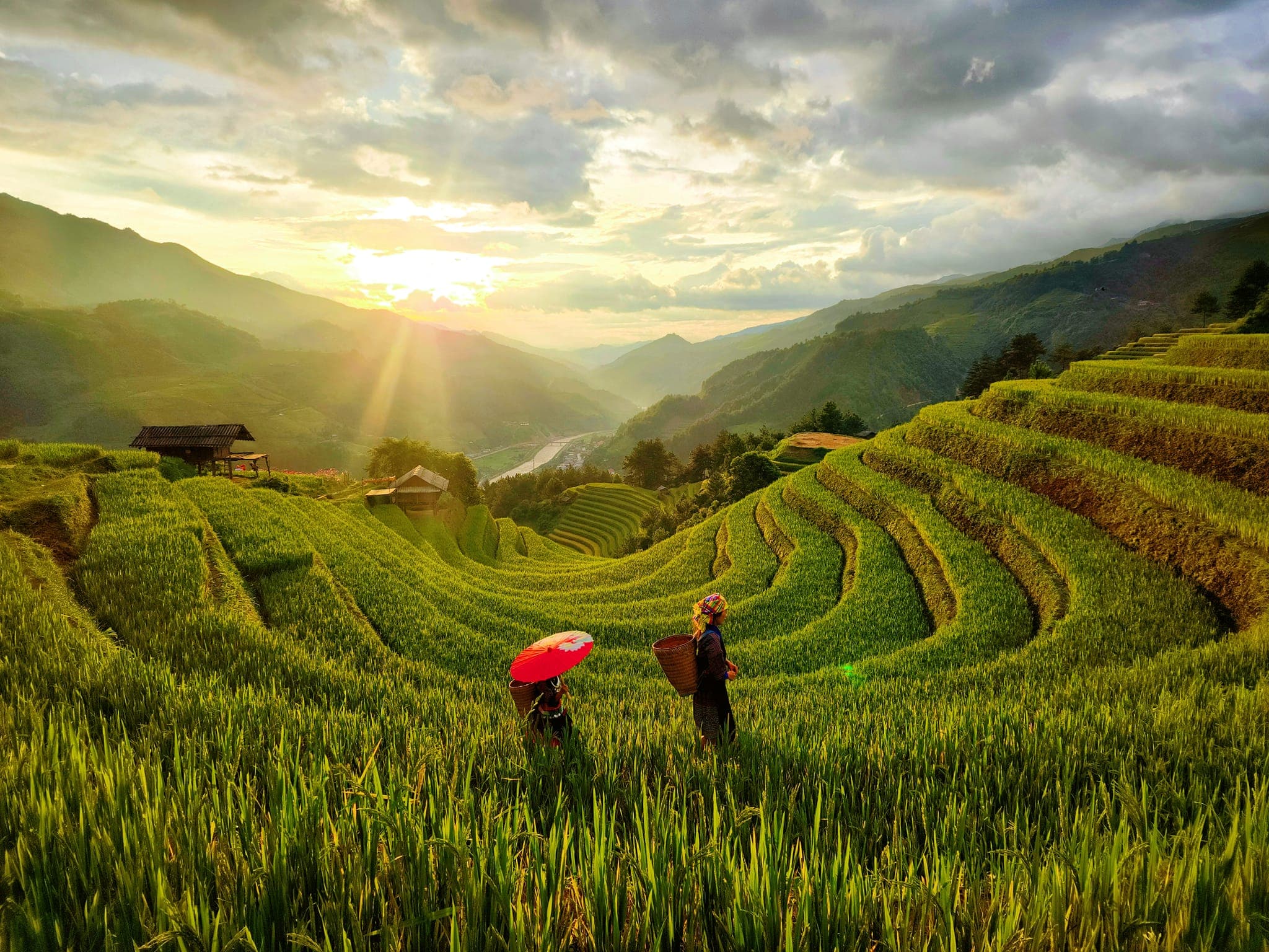 Mu Cang Chai