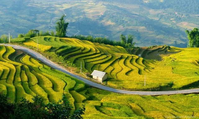 1 Day Pu Luong Nature & Culture Trek