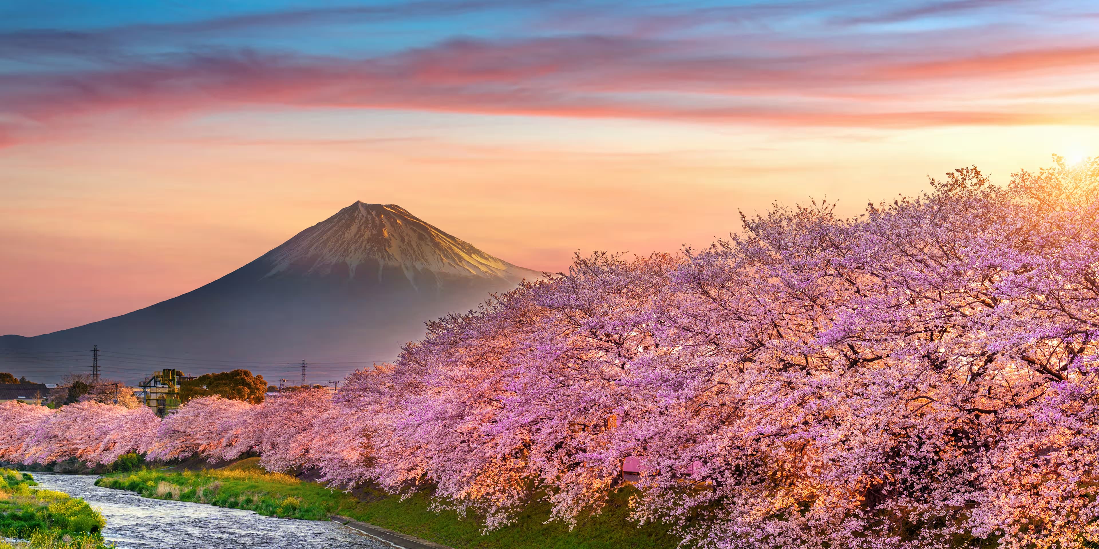 14 Days Japan Discovery In Cherry Blossom Season