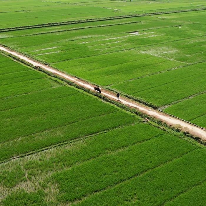 Hoi An Countryside Discovery – Full-Day Bike Tour