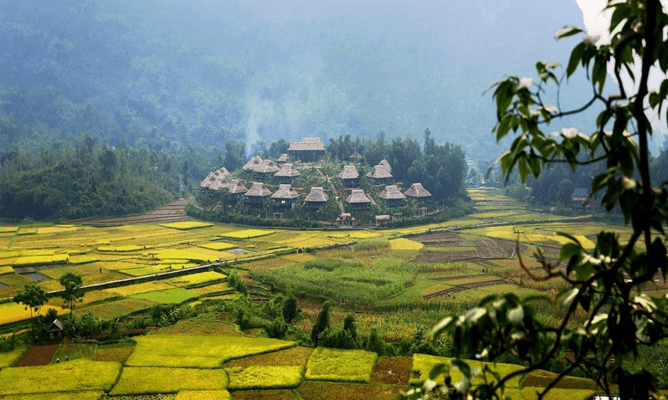 Mai Chau