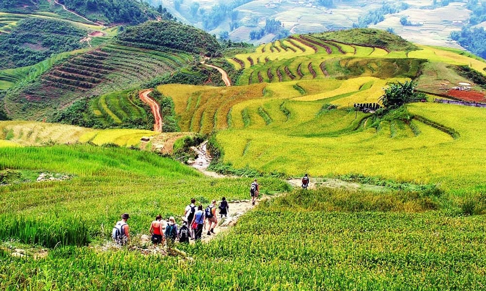 1 Day Hidden Valleys Of Sapa Den Thang To Muong Hoa
