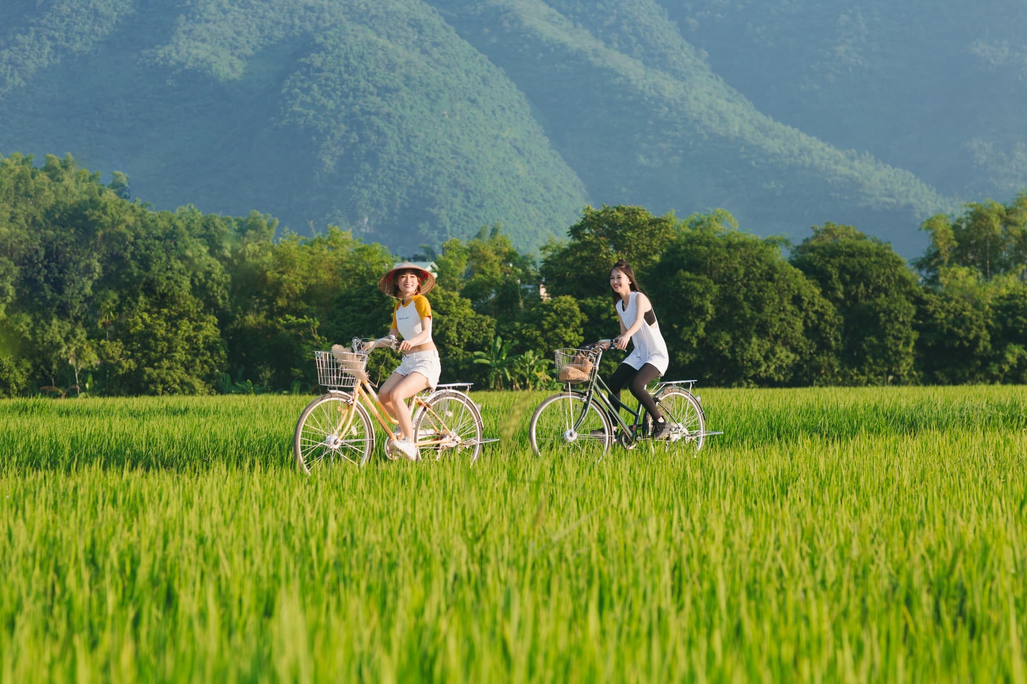 Vietnam Highlights